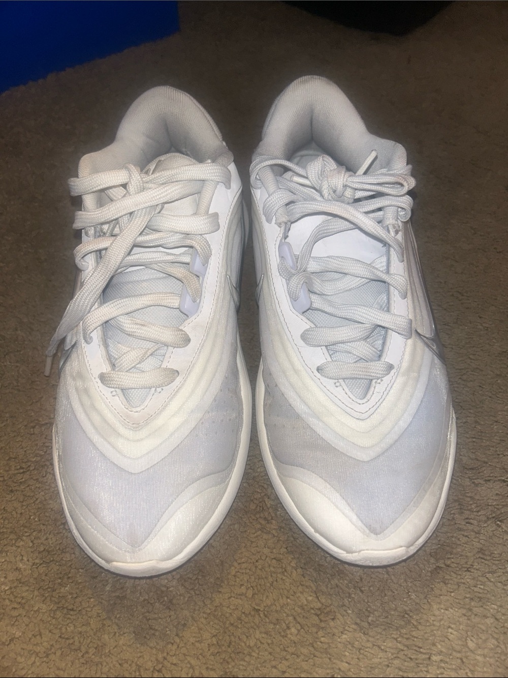 Nike A’One Basketball Shoes
